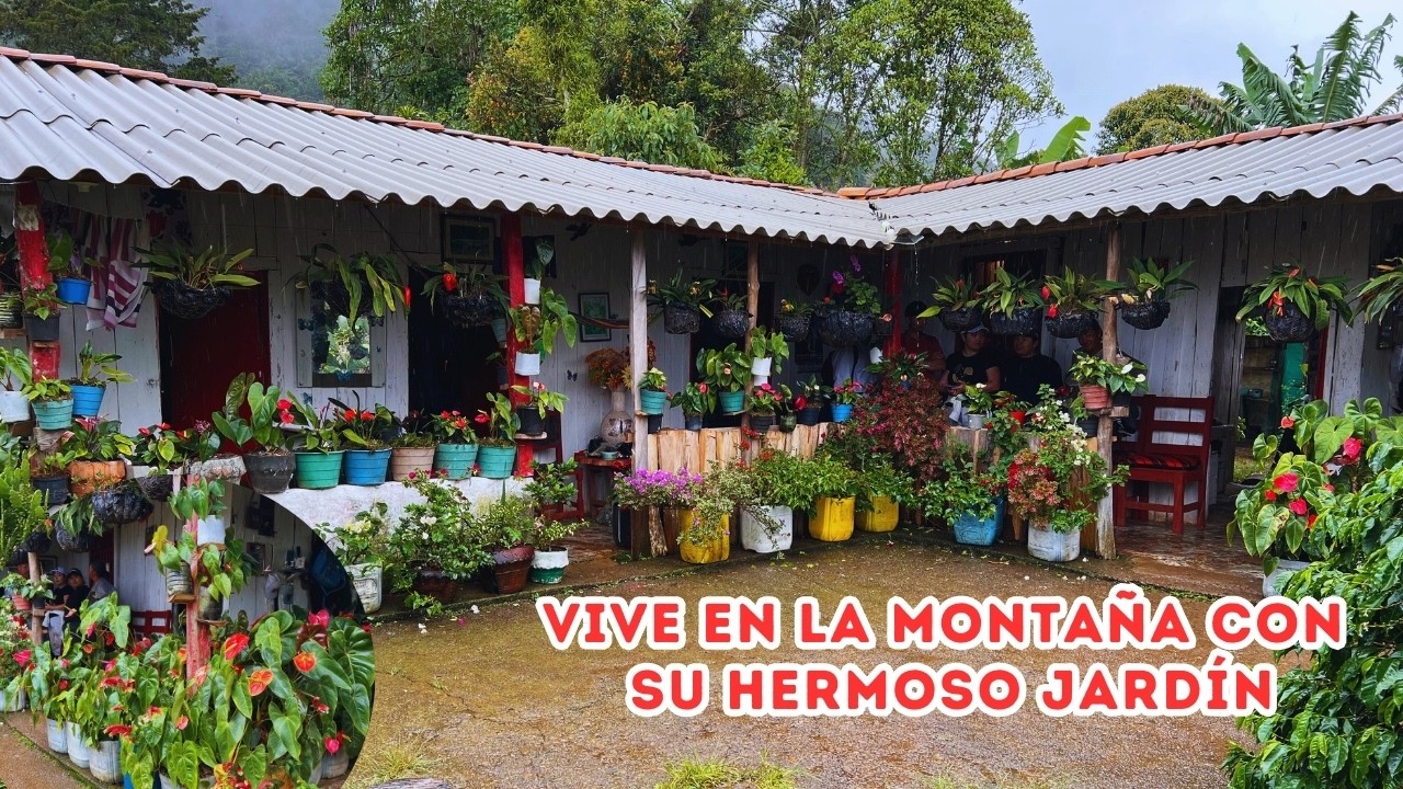Jardinería con visitas mensuales preestablecidas