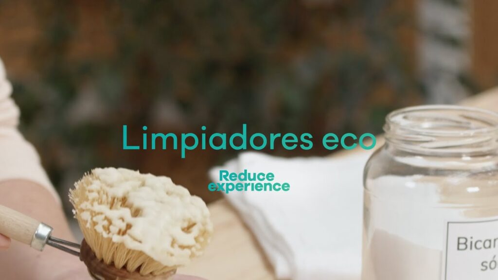 Suscripción a productos de limpieza ecológicos