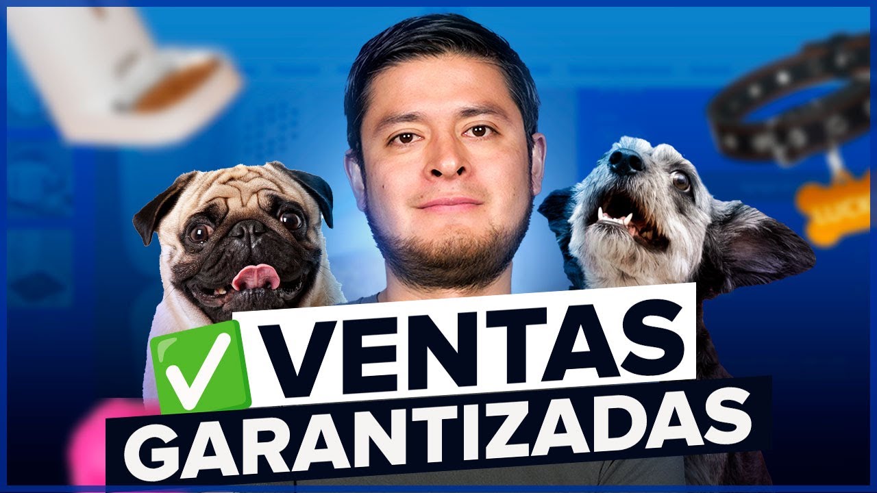 Cajas mensuales con productos para mascotas